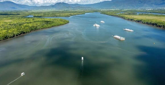 Discover Cairns: Cairns River Cruise & City Sights Tour