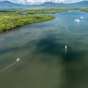 Discover Cairns: Cairns River Cruise & City Sights Tour