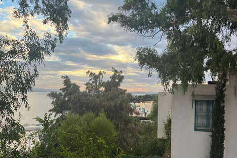 La Goulette: Guided Group Tour of Tunis, Carthage & Sidi Bou Said