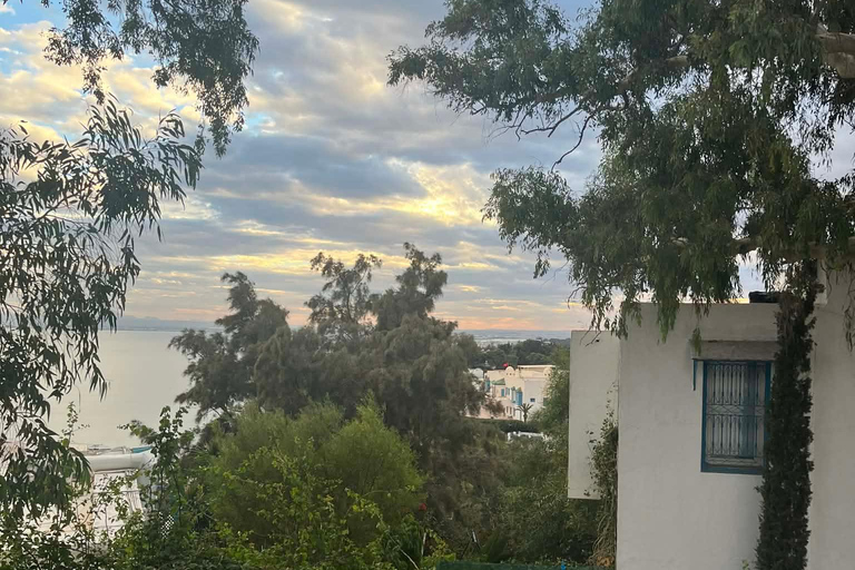 La Goulette: Guided Group Tour of Tunis, Carthage & Sidi Bou Said