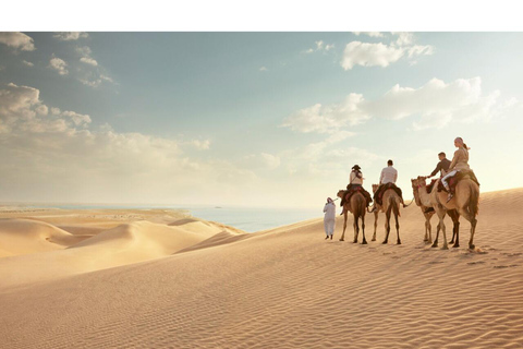 Doha: Desert Safari & City Tour from Hotel or Airport 6 Hour Private Tour