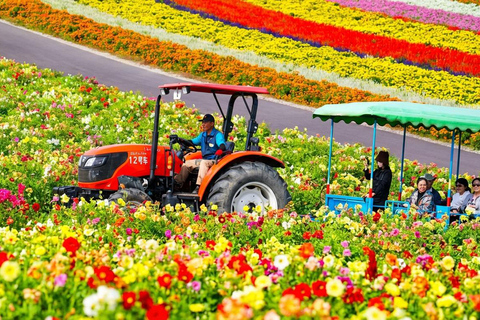 Hokkaido Summer Day Trip: Patchwork Road&Shikisai no Okas Depart from Sapporo Tokyu REI Hotel (without lunch)