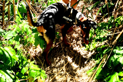 Gozo Unveiled Hiking: A Guided Hike Tour in Gozo- South East