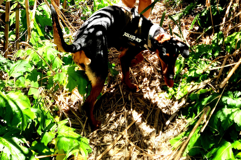 Gozo Unveiled Hiking: A Guided Hike Tour in Gozo- South East