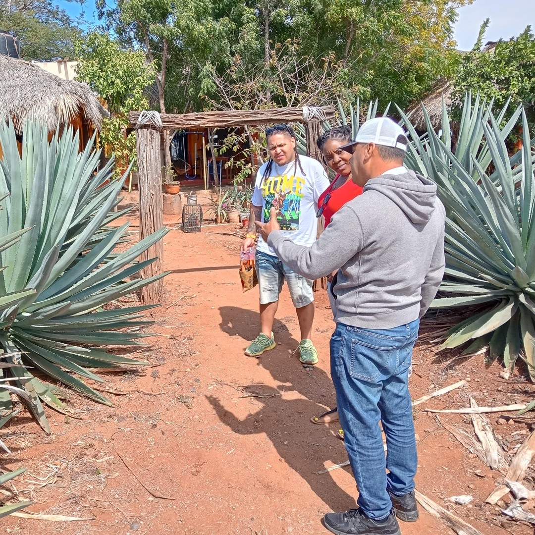 Mazatlan: Mezcal Factory Tour with Tasting and Lunch