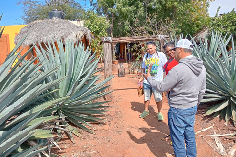 Mazatlan: Mezcal Factory Tour with Tasting and Lunch