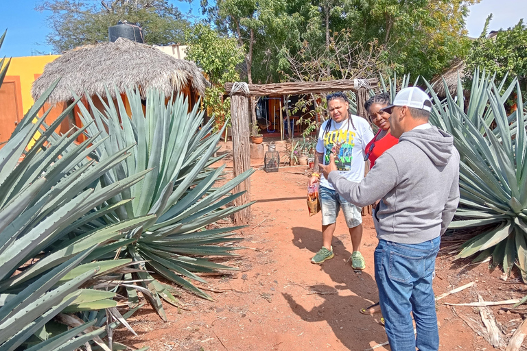 Mazatlan: Mezcal Factory Tour with Tasting and Lunch