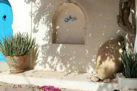 Full-Day Guided Djerba Island Tour & Crocodile Park + Lunch