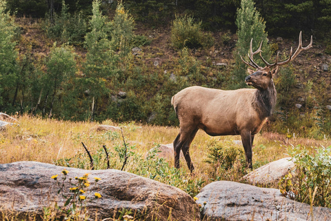 Rocky Mountain National Park: Private Hike to Emerald Lake