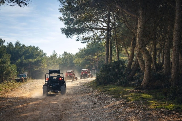 Pula: 2,5 uur extreme off-road buggy-ervaring in Istrië