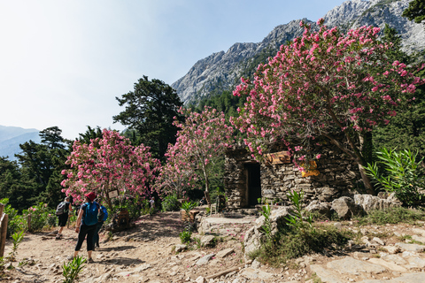 From Rethymno: Samaria Gorge Full-Day Trek with Pickup From Panormo, Lavris, Scaleta, Sfakaki, Stavromenos