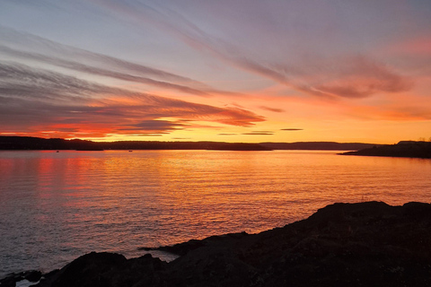 Oslo: Malmøya Island Guided Hike with Waffle and Drink