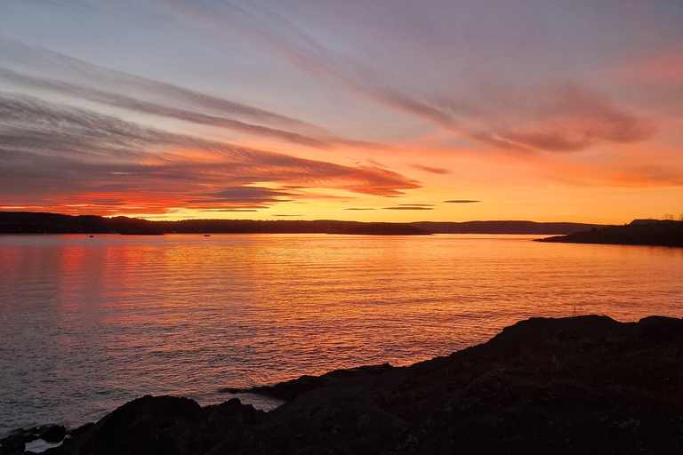 Oslo: Malmøya Island Guided Hike with Waffle and Drink