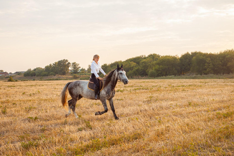 Ibiza: Evening Horseback Ride & Hotel Pickup Ibiza: Golden Hour Horseback Ride & Hotel Pickup