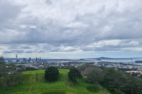 Auckland Stad Hoogtepunten Dagvullende Tour