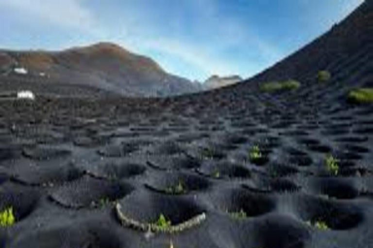 Lanzarote Premium Excursion Lanzarote Premium Excursion 8h