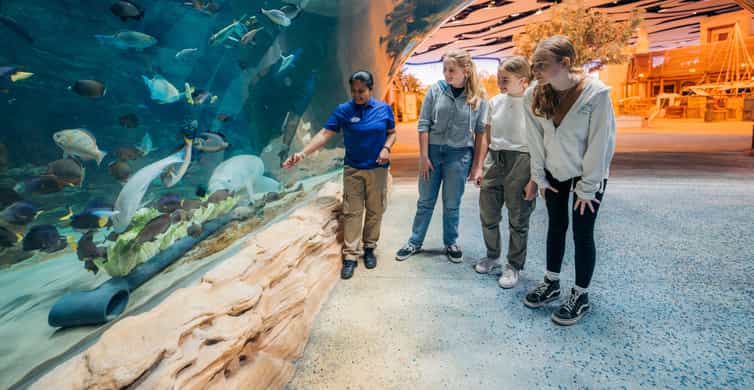 Abu Dhabi:SeaWorld Entry Ticket & Optional Experiences photo 13