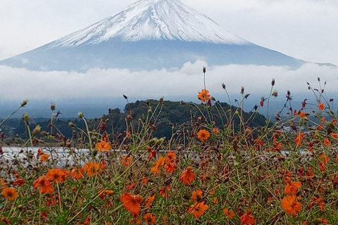 From Tokyo: Mount Fuji Private Tour With English Guide Route 2 Mount Fuji & Hakone: Full day customized Tour