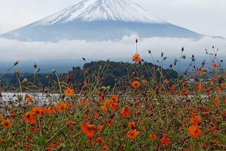 From Tokyo: Mount Fuji Private Tour With English Guide Route 2 Mount Fuji & Hakone: Full day customized Tour