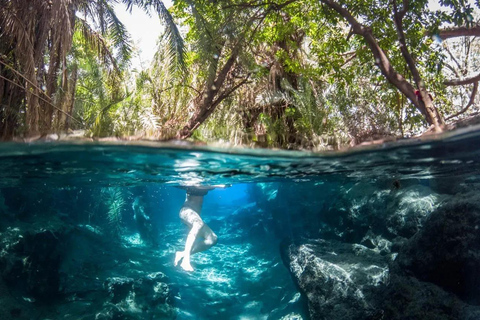 Moshi: Viagem de 1 dia às Termas de Chemka