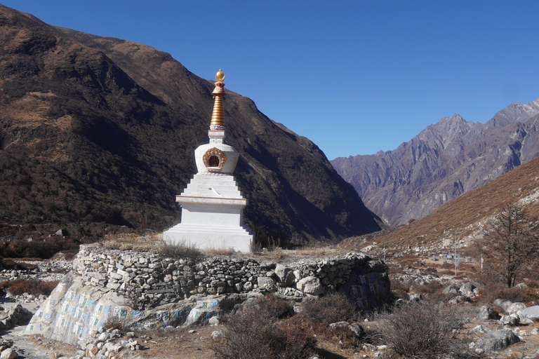 Trek dans la vallée du Langtang