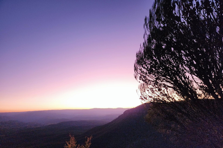 Visite nocturne des montagnes bleues de Sydney