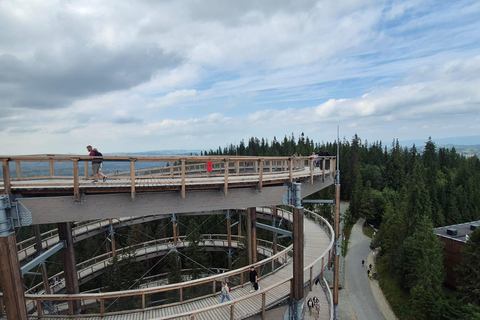 Zakopane: Treetop Skywalk Hot Springs Experience & Transport Termy Bania – Skip-the-Line Thermal Baths Entry