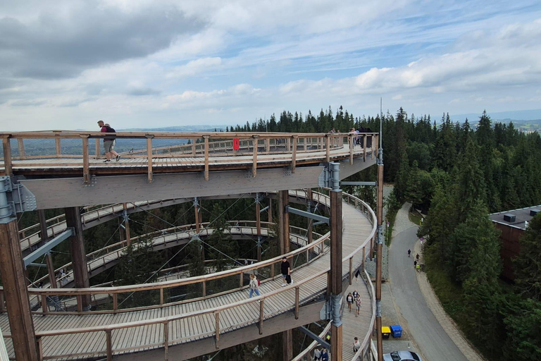 Zakopane: Treetop Skywalk Hot Springs Experience & Transport Termy Bania – Skip-the-Line Thermal Baths Entry
