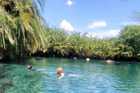 Wonderful Materuni waterfalls and Chemka hotspring Day trip