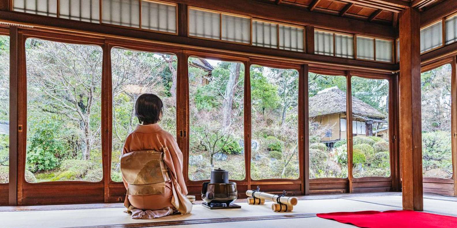 Kyoto experience — temples, geisha, bamboo grove — image 6