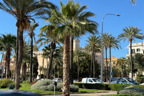 Palma en persona y lejos de las multitudes