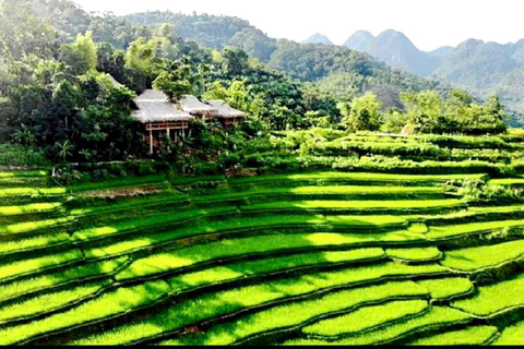 Hanoi: Mai Chau, Pu Luong, and Ninh Binh 3-Day Tour