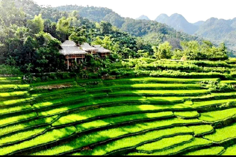 Hanoi: Mai Chau, Pu Luong, and Ninh Binh 3-Day Tour