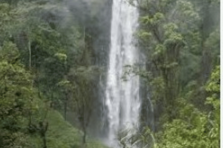1 Day Materuni Waterfalls, Coffee Tour & Picnic Hot Lunch