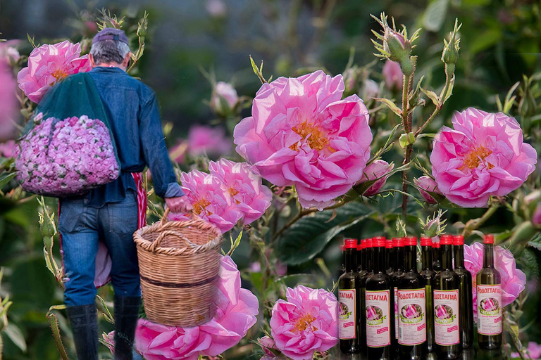 From Larnaca: Meet the Locals of Troodos Mountains