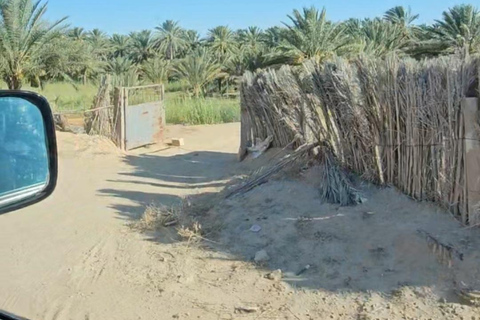 2-Day Sahara Escape: Ksar Ghilane Oasis & Desert Camp 2-Day Sahara Escape: from Mahdia