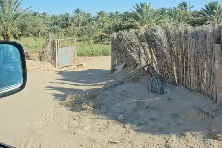 2-Day Sahara Escape: Ksar Ghilane Oasis & Desert Camp 2-Day Sahara Escape: from Mahdia