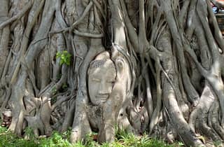 Ayutthaya privat: Königliche Tempel & Seilbahnfahrt über den Fluss