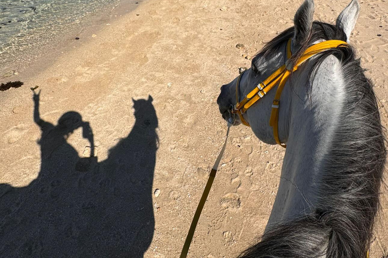 Descubriendo el sur. Paseos a caballo por la playa, excursiones a cascadas.