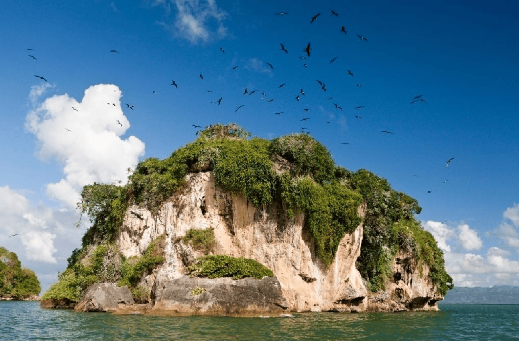 Privat: Los Haitises & Cayo Levantado von Samana aus