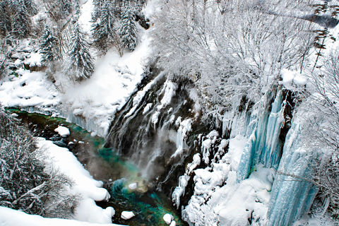 Sapporo: Hokkaido Biei Best 5 Photo Spots Day Tour Shared Tour, Meet at Odori Station