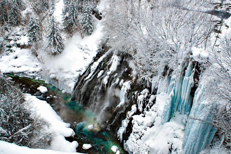 Sapporo: Hokkaido Biei Best 5 Photo Spots Day Tour Shared Tour, Meet at Odori Station