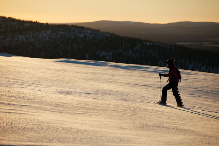 Winter Snowshoeing in the Finnish Wilderness