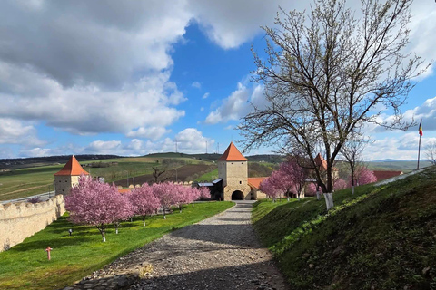 Saxon Villages Tour: Viscri, Rupea Fortress, Criț & Saschiz