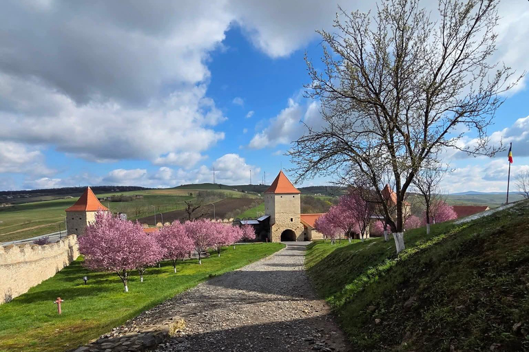 Saxon Villages Tour: Viscri, Rupea Fortress, Criț & Saschiz