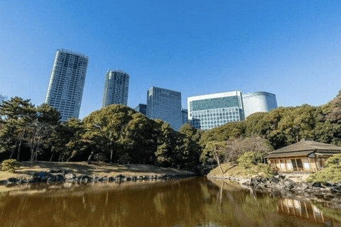Tokio: rondleiding door de Tsukiji-markt en de Hama-rikyu-tuinen