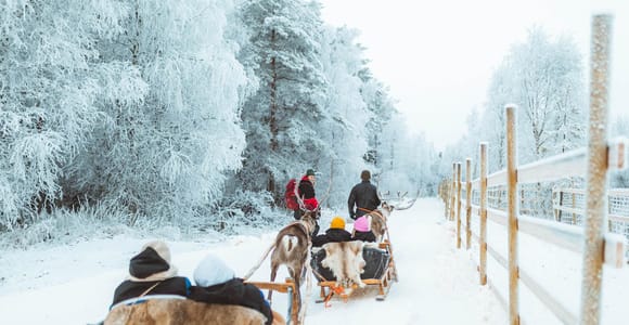 Rovaniemi: Early Winter Reindeer Sleigh Ride 1-2 km