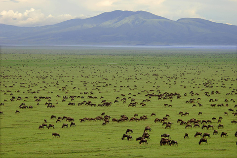 7-Day Budget Camping - Tarangire, Serengeti, Ngorongoro...