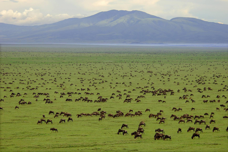 7-Day Budget Camping - Tarangire, Serengeti, Ngorongoro...