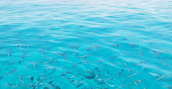 Kavos: Blue Lagoon & Sivota Semi-Private Tour